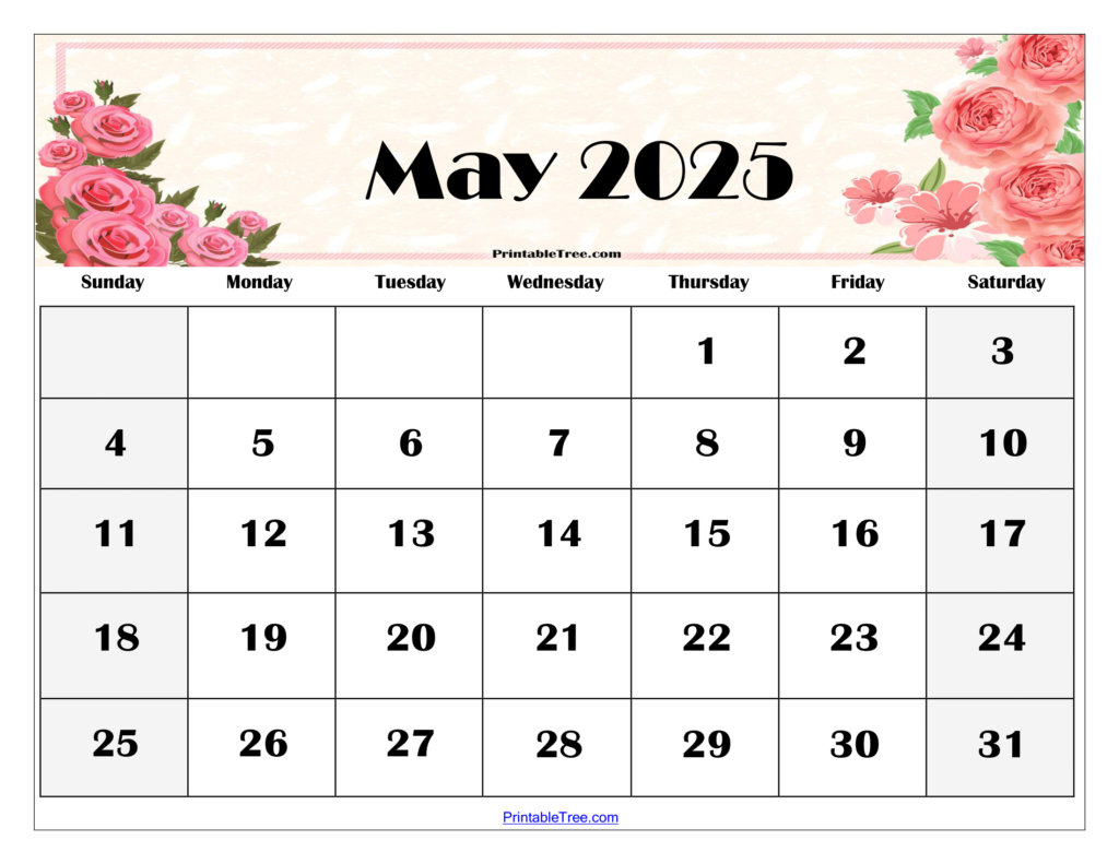 May 2025 Calendar Printable For Reading Log