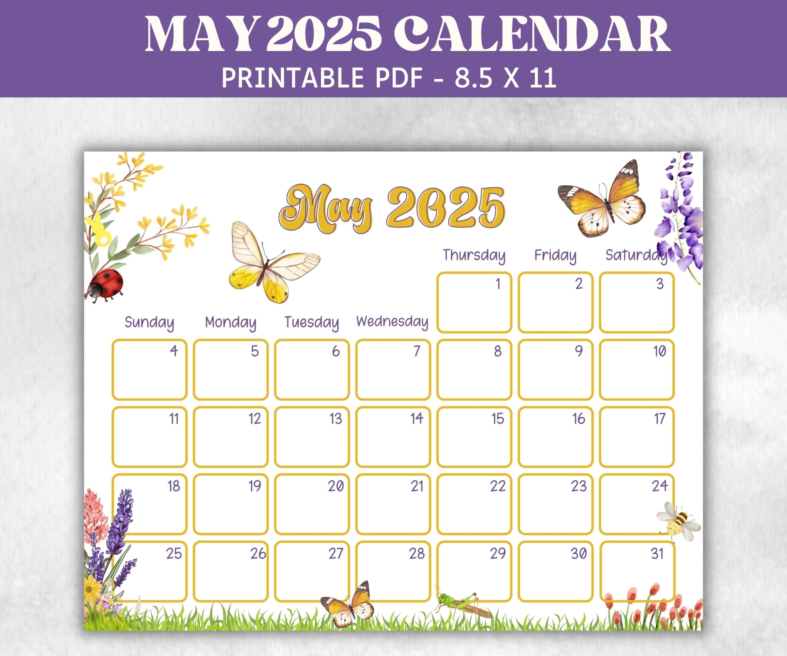 Kids May 2025 Calendar Printable 2025 Calendar Homeschool Preschool Calendar Board Childrens Monthly Planner Summer Butterfly Calendar Etsy