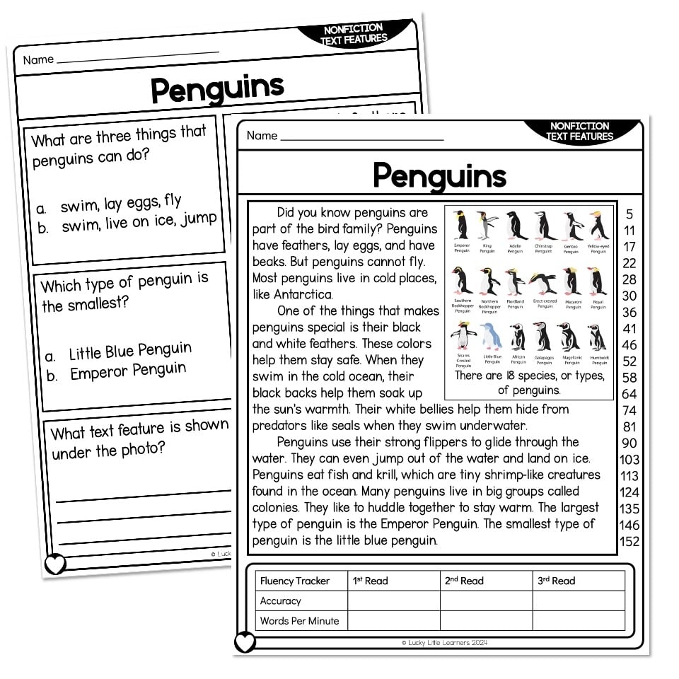 Reading Comprehension Passage Nonfiction Text Features Penguins Lucky Little Learners