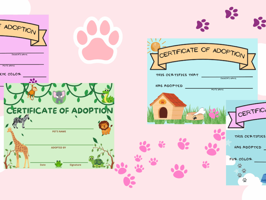 Free Stuffed Animal Adoption Certificate Printable Sew Cute Patterns