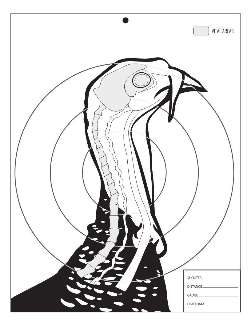 Las Mejores Ofertas En Objetivo De Turqu a EBay