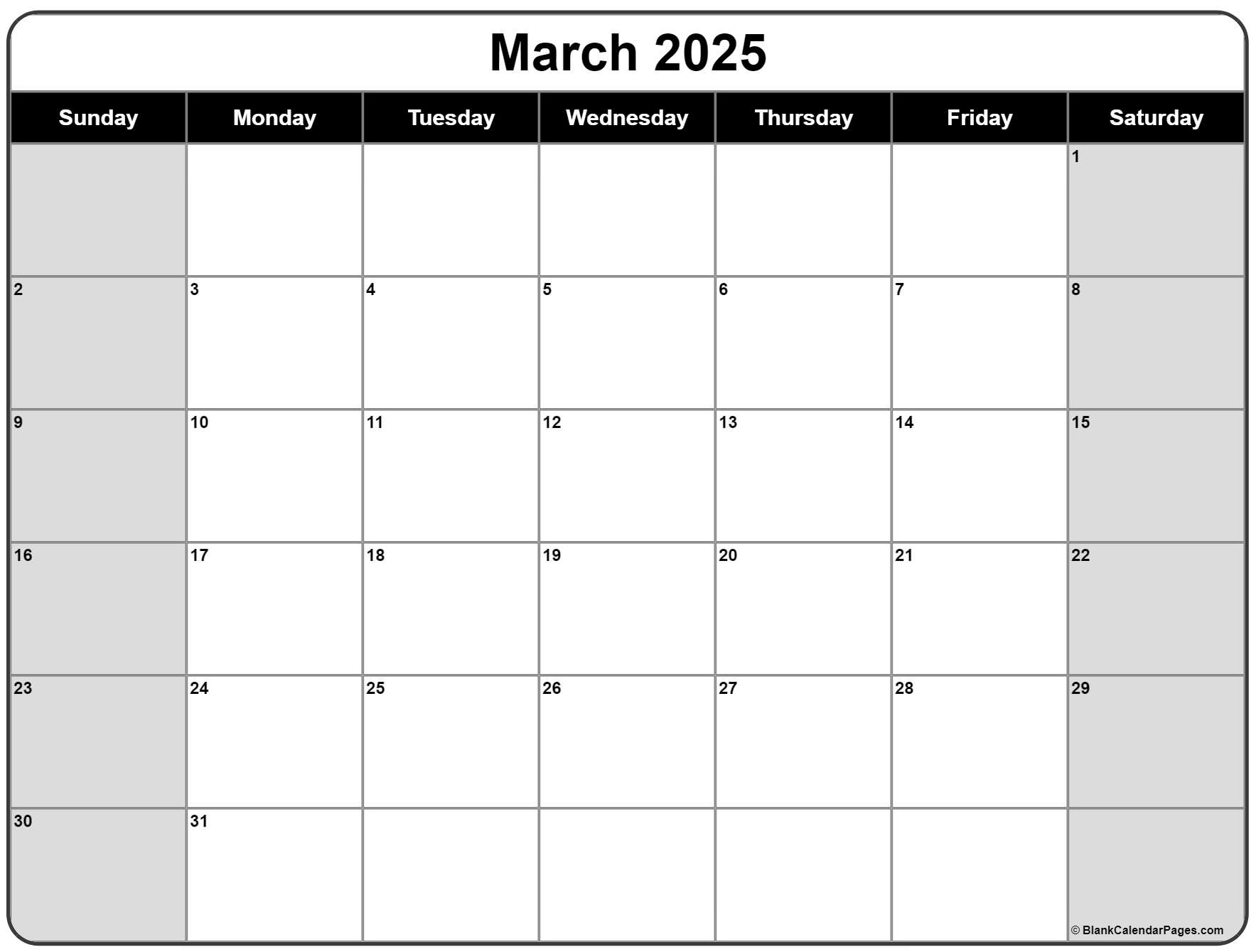 2025 Monthly Calendar Printable